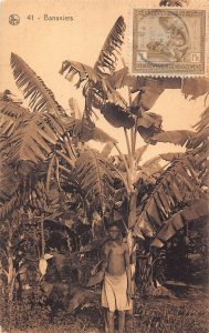 Belgian Congo 1911 Banana Tree Bananiers Native Boy Ethnic postcard B984