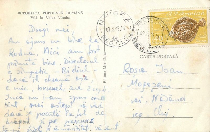 Post card Romania Cabana Valea Vinului