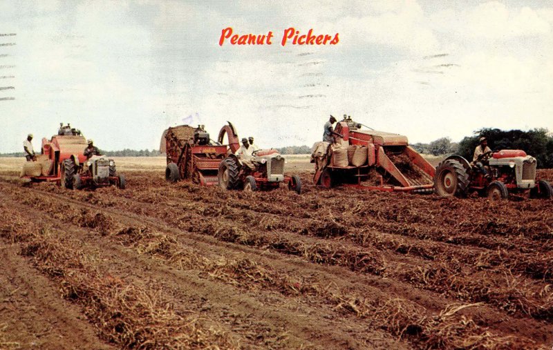 Peanut Pickers