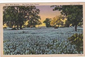 Texas State Flower Field Of Blue Bonnets 1953 Curteich