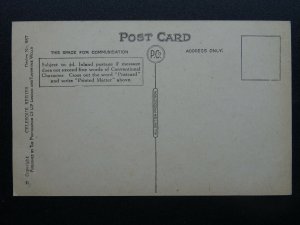 Wire Haired Terrier Dog JIM by Artist Persis Kirmse c1914 Postcard by Photochrom