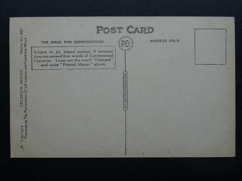 Wire Haired Terrier Dog JIM by Artist Persis Kirmse c1914 Postcard by Photochrom