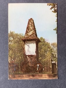 Revolutionary War Monument Lexington MA Chrome Postcard H2251080744