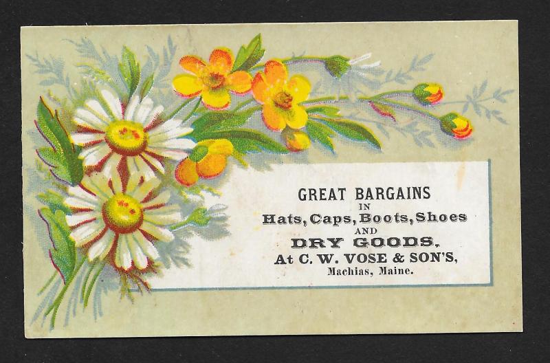 VICTORIAN TRADE CARD CW Vose & Sons Dry Goods