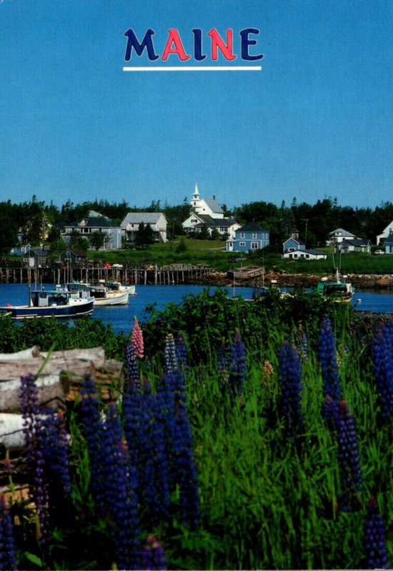 Maine A Typical Coastal Fishing Village