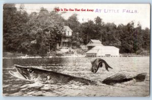 Little Falls Minnesota MN Postcard Exaggerated Pike Fishing c1910's Antique