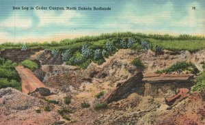 Vintage Postcard The Iron Log Petrified In Cedar Canyon North Dakota Badlands ND