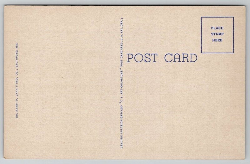 Salisbury MD US Post Office And Wicomico County Court House Postcard D42