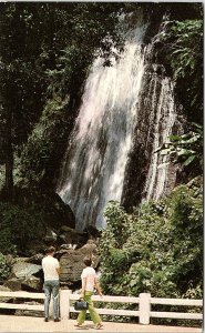 Postcard NATURE SCENE El Yunque Puerto Rico PR AI5420