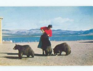 Pre-1980 PLAYING WITH THREE BEARS Burwash Landing Yukon Territory YT E6775