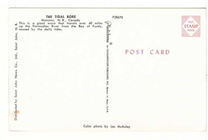 Tidal Bore, Petitcodiac River, Moncton, New Brunswick, Vintage Chrome Postcard