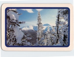 Postcard Best Wishes for a very Merry Christmas w/ Trees Snow Landscape Scenery