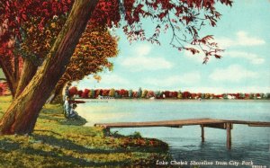 Lake Creek Shoreline from City Park C.T. American Art Vintage Postcard c1930