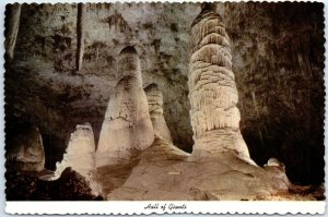 M-104781 Hall of Giants Carlsbad Caverns National Park New Mexico USA