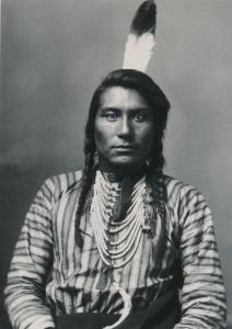 Hail Stone Crow Indian Native American - 1883 Photo - Western USA - Recent Print