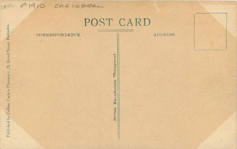Barbados Collins Carlisle Pharmacy C-1910 Hastings Rocks Postcard 20-2616