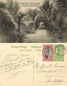 belgian congo, BANANA, Avenue des Palmiers, Palm Trees (1920s) Postcard (14)