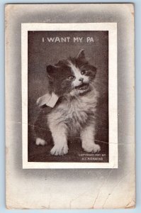 HI Robbins Artist Signed Postcard Black Cat Kitten Haired I Want Pa St. Paul MN