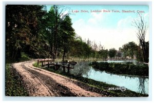 Lake Drive Laddins Rock Farm Stamford CT Connecticut Postcard (AJ9)