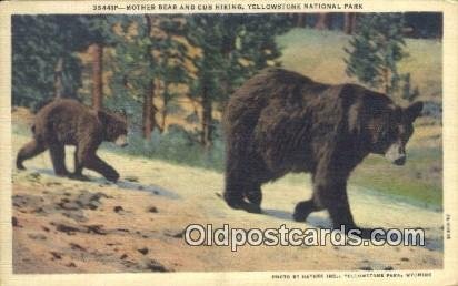 Yellowstone National Park, Bear 1946 Missing Stamp 