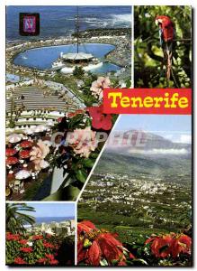 Postcard Modern Various aspects Tenerife