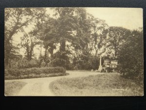 Lincolnshire WRANGLE Church End & OMNIBUS Old Postcard by C. Hall of Post Office