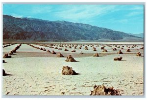 California CA Postcard Borax Flats Death Valley National Monument c1960 Unposted