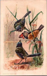 Birds Butterfly Advertising Card Manufacture De Chaussures A Vis C005