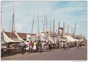 The Sunny Caribbean, Native Dockside Market, Steamer/Ship, 1960-1970s