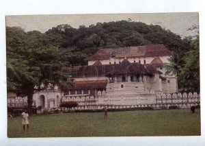 228567 CEYLON Kandy Buddhist temple old russian postcard