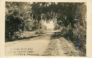 Postcard RPPC c1910 Iberia Louisiana Highway Live Oaks Parrish roadside 23-13897