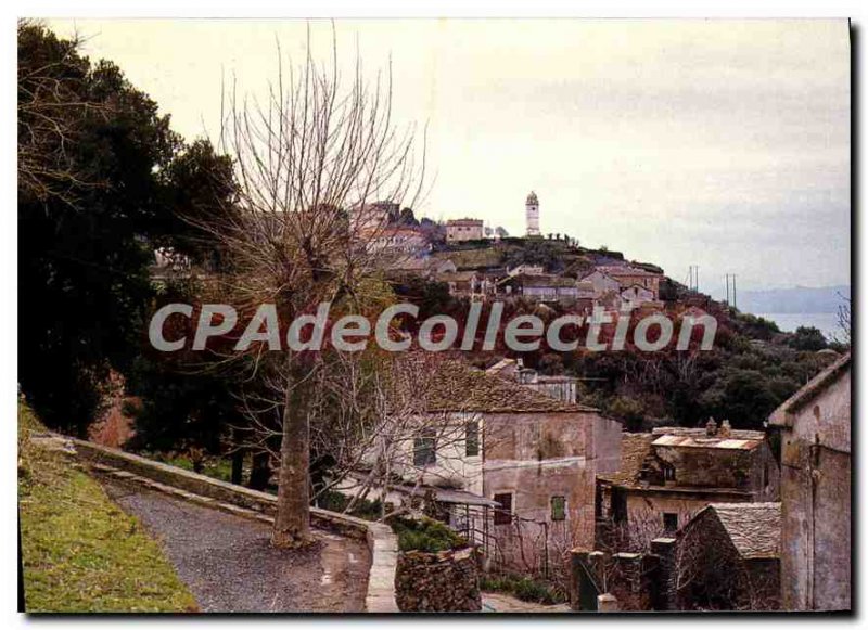 Postcard Modern Cap Corse Canari