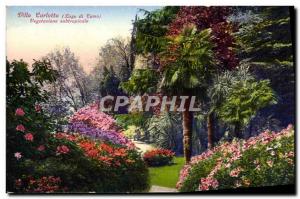 Postcard Old Villa Carlotta Lago Di Como Vegetazione Subtropical