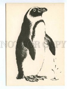 179894 penguin old postcard by Lebedev