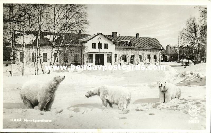 sweden, LULEÅ, Järnvägsstationen, Railway Station, Polar Bears (1954) RPPC