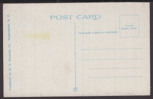 DC Washington The Japanese Cherry Blossom Tree, Potomac Park ~ WB