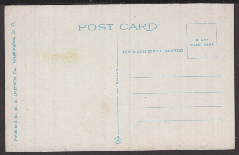 DC Washington The Japanese Cherry Blossom Tree, Potomac Park ~ WB