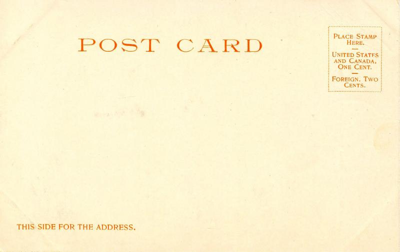 NH - Intervale. Cathedral Woods