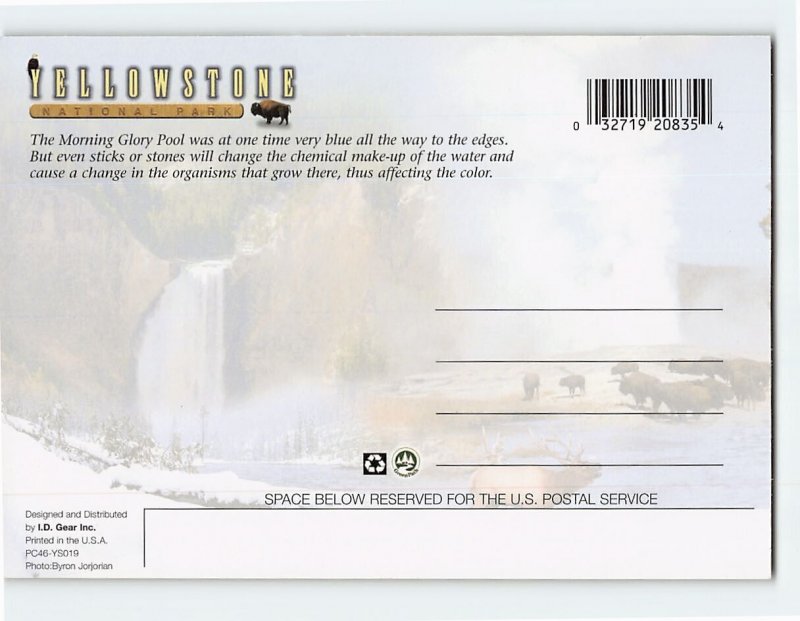 Postcard The Morning Glory Pool, Yellowstone National Park, Wyoming