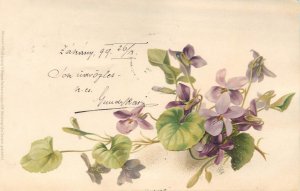 Holidays & celebrations 1900s greetings lilac flower fantasy Hungary