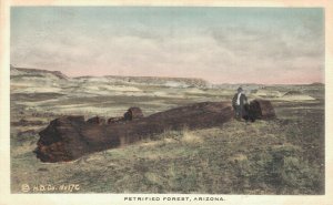 USA Petrified Forest Arizona Vintage Postcard 07.20