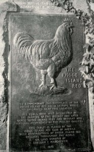 RI - Adamsville. Rhode Island Red Commemorative