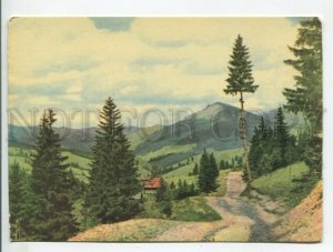 454641 USSR 1967 year Ukraine Carpathians road postcard