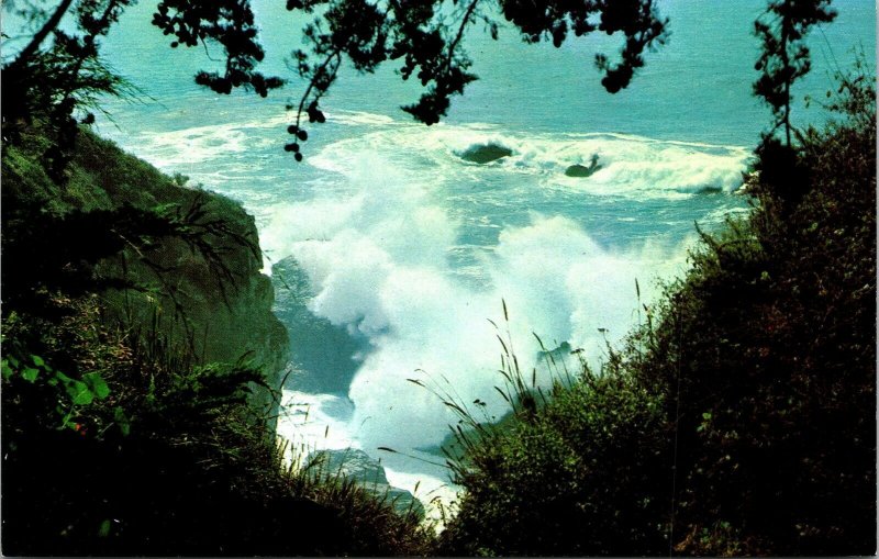 California Coast Carmel San Sieon Sea Storm VTG Postcard UNP Unused Vintage 