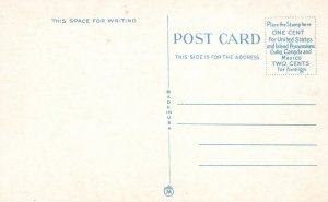 Rochester NY-New York, Durand Eastman Park Lake Scene Forest, Vintage Postcard