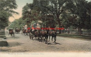 OH, Cleveland, Ohio, Euclid Avenue, Horse Drawn Carriage, Woehler No 411