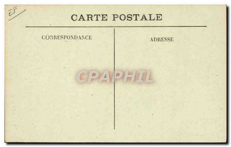 Old Postcard Pig Pig Folklore harvest of truffles in the limestone Quercy fri...