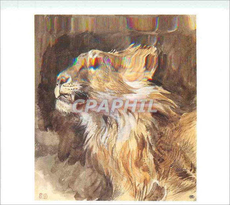 Modern Postcard Eugene Delacroix Head Lion roaring Watercolor strokes a pencil