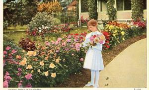 CA - Picking Roses