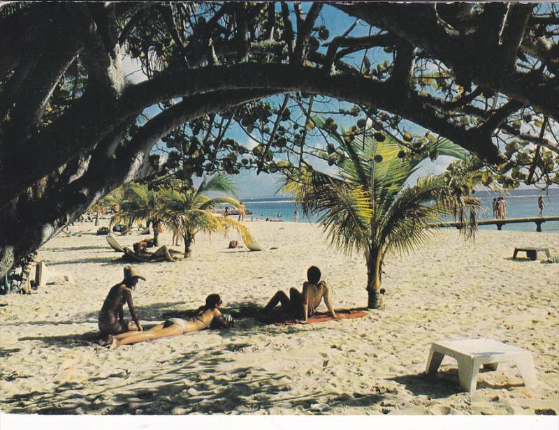 Beach Scene Plage De La Caravelle Guadeloupe Antilles 50